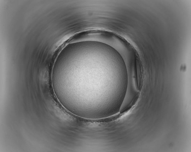 X0000089380969200706221250