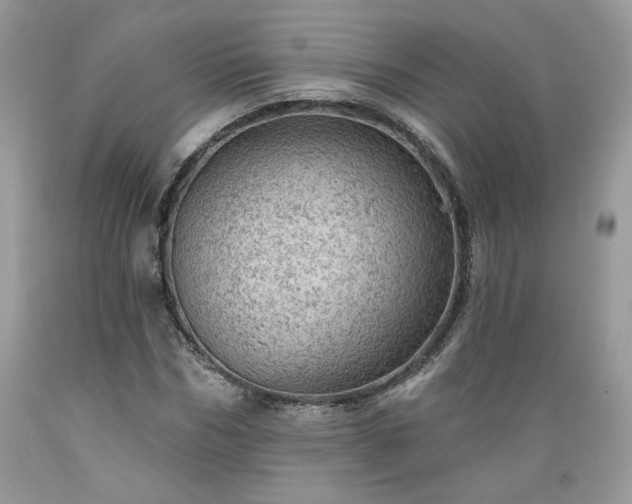 X0000089380970200706221250