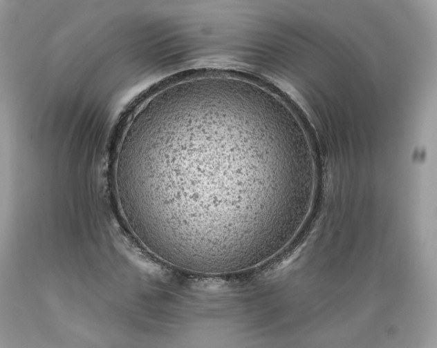 X0000089380971200706221250