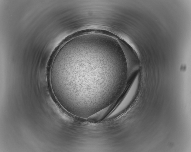X0000089380972200706221250