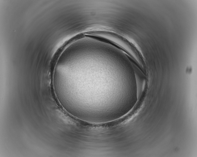 X0000089380973200706221250