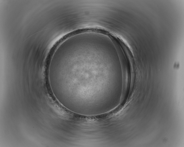 X0000089380975200706221250