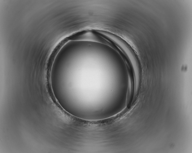 X0000089380976200706221250