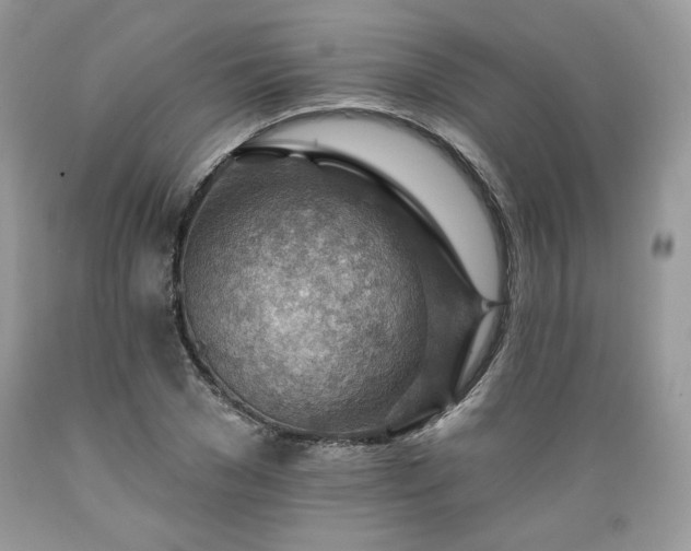 X0000089380977200706221250