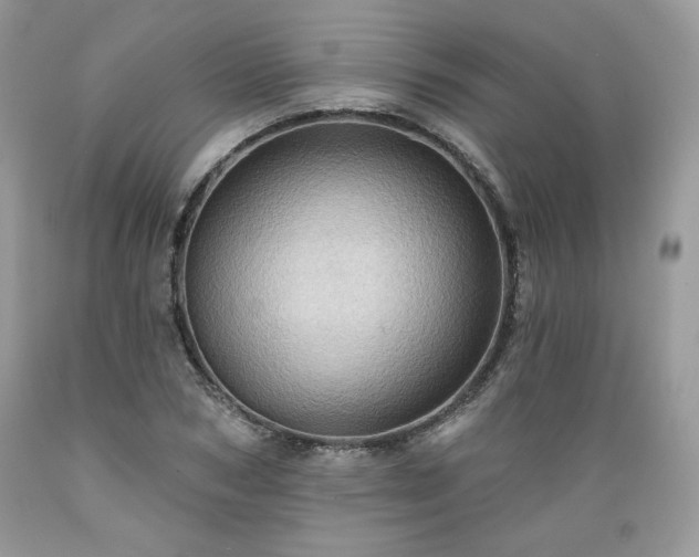 X0000089380978200706221250