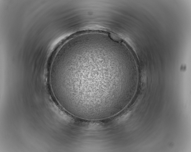 X0000089380979200706221250