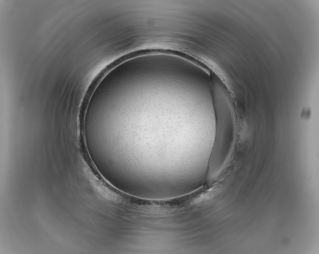 X0000089380980200706221250