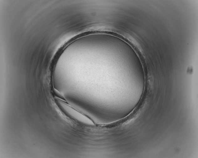 X0000089380981200706221250