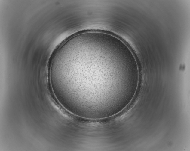 X0000089380982200706221250