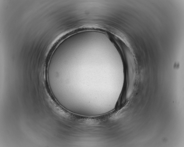 X0000089380984200706221250