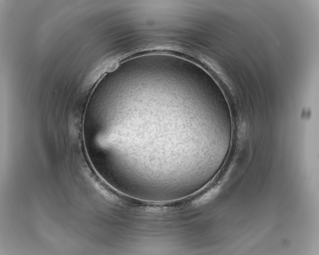 X0000089380985200706221250