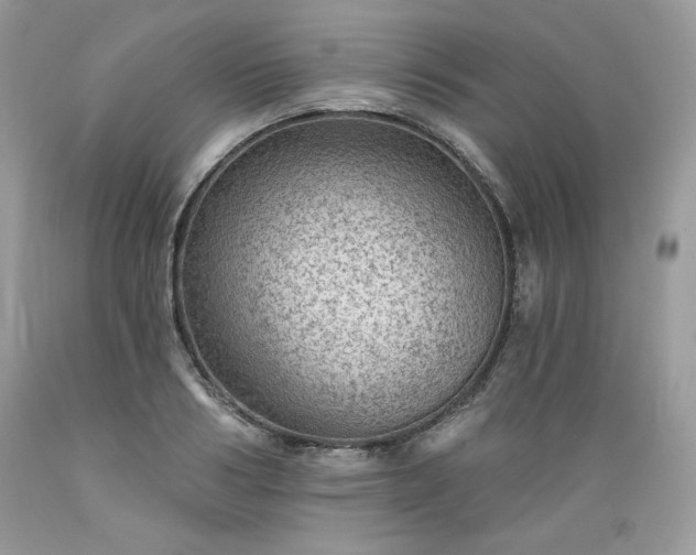 X0000089380986200706221250