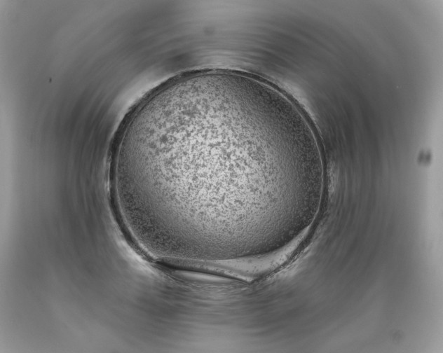 X0000089380987200706221250