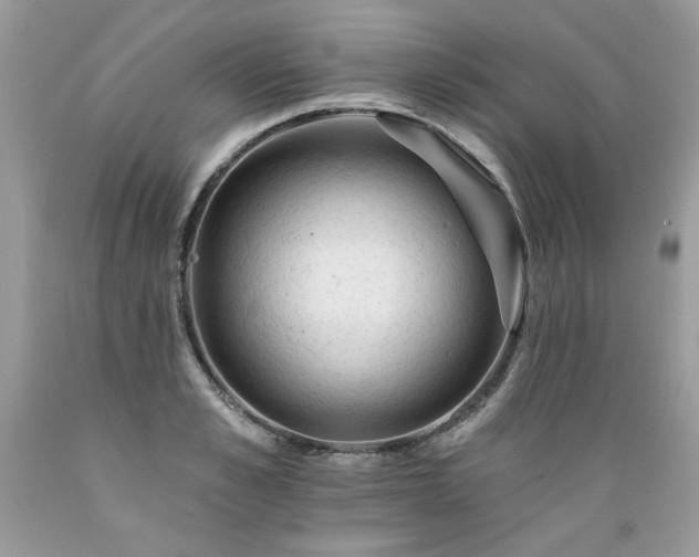 X0000089380989200706221250