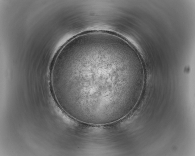 X0000089380990200706221250