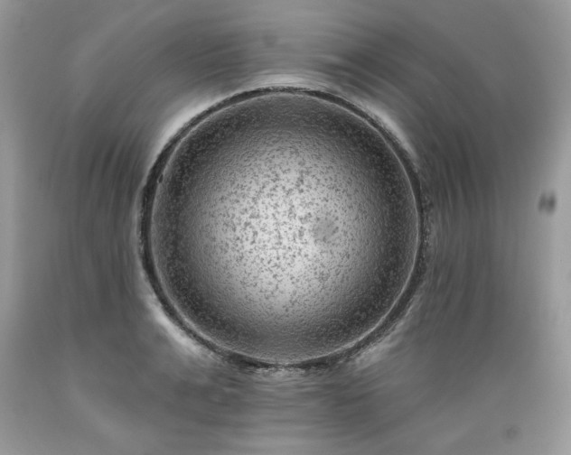 X0000089380991200706221250