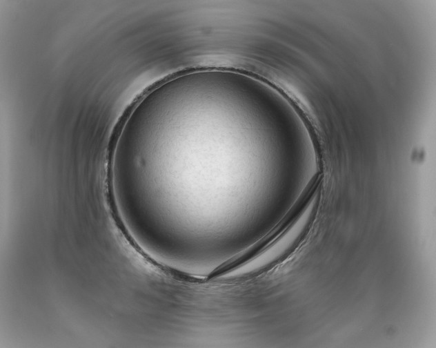 X0000089380992200706221250