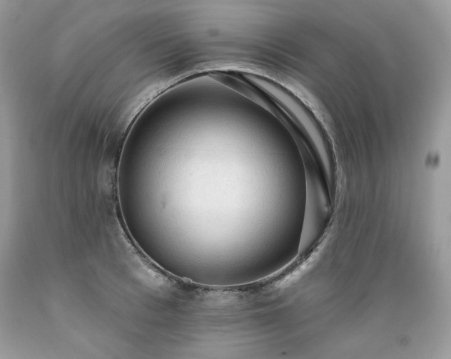X0000089380993200706221250