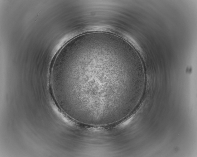 X0000089380994200706221250