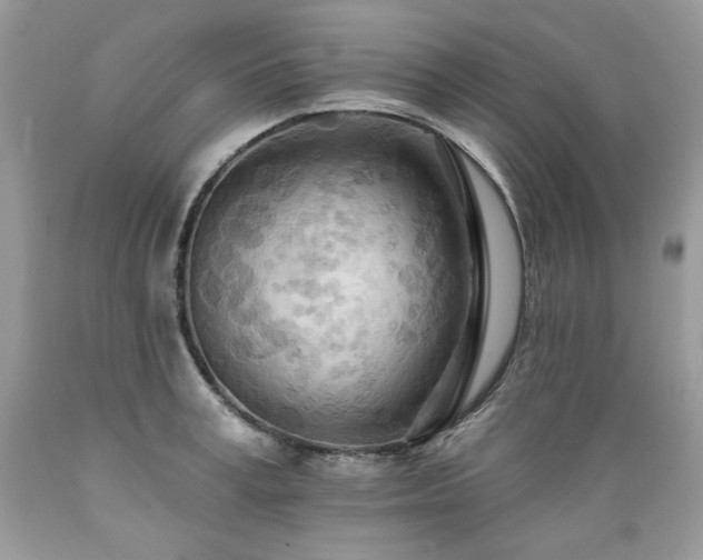 X0000089380995200706221250