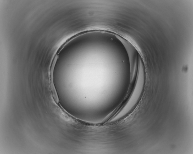 X0000089380996200706221250