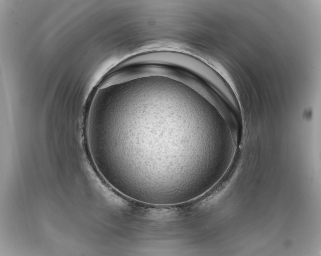 X0000089380997200706221250