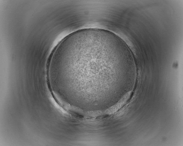 X0000089380998200706221250
