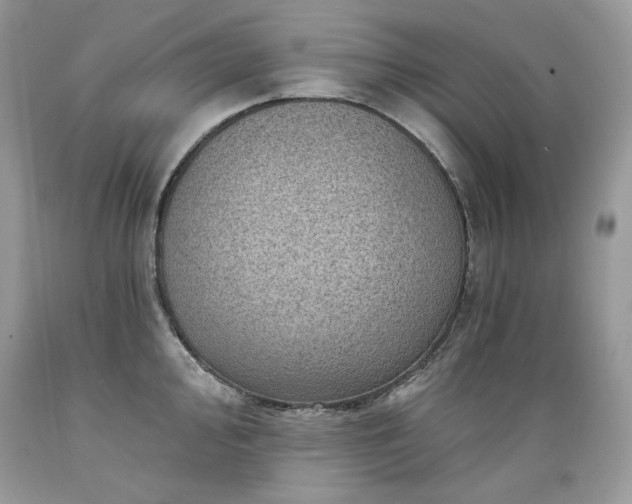 X0000089381000200706221250