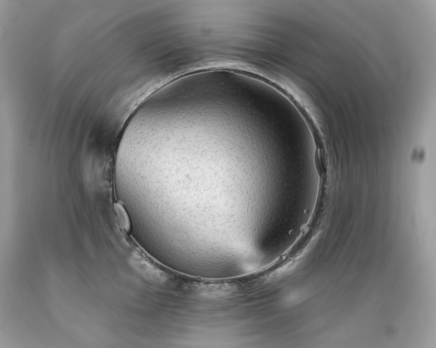 X0000089381001200706221250