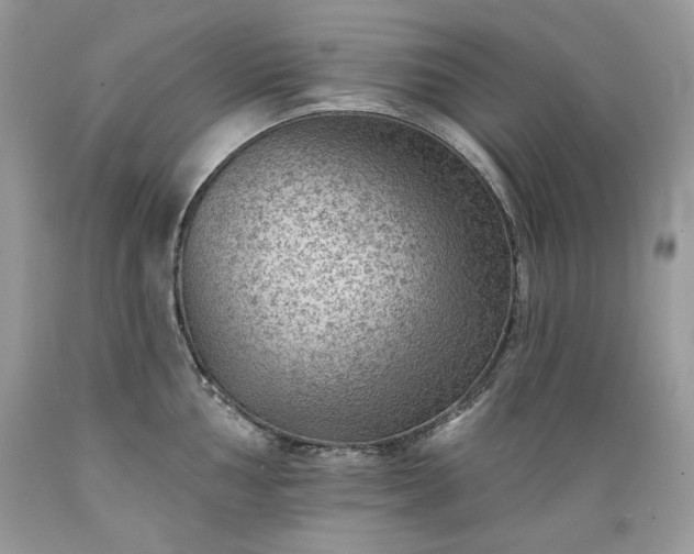 X0000089381002200706221250