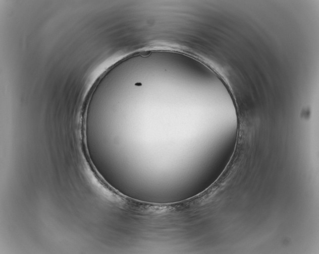 X0000089381003200706221250