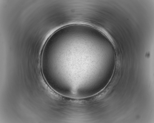 X0000089381004200706221250