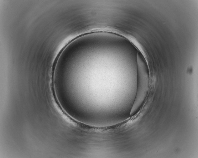 X0000089381005200706221250