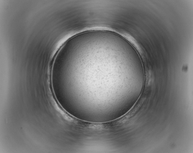 X0000089381006200706221250