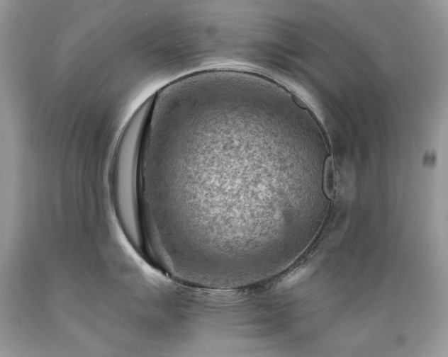 X0000089381007200706221250