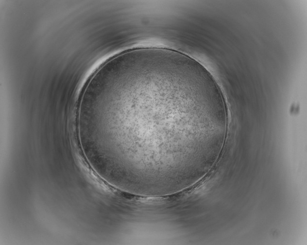 X0000089381008200706221249