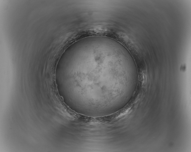 X0000089381009200706221249