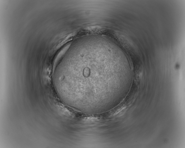 X0000089381010200706221249