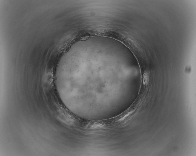 X0000089381011200706221249