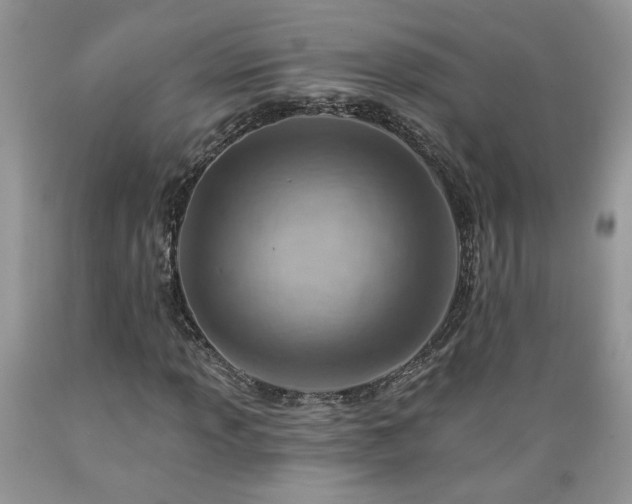 X0000089381013200706221249