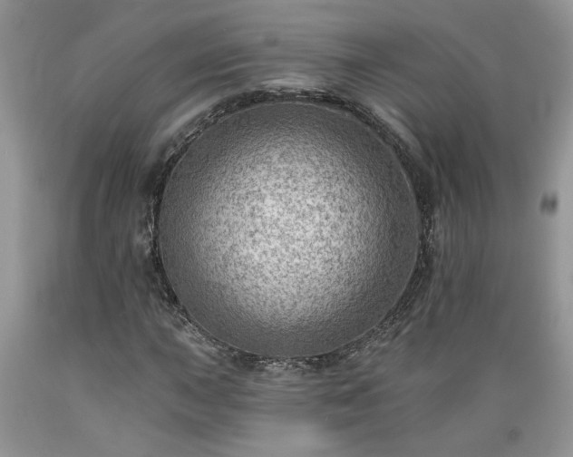 X0000089381015200706221249
