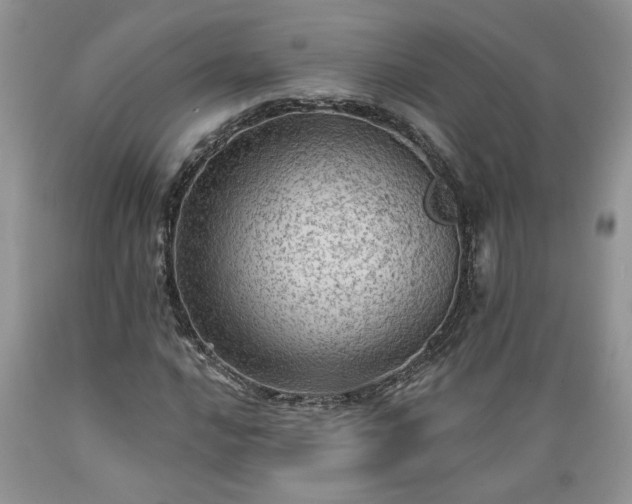 X0000089381016200706221249