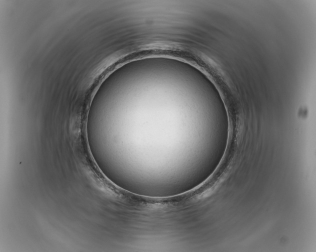 X0000089381017200706221249