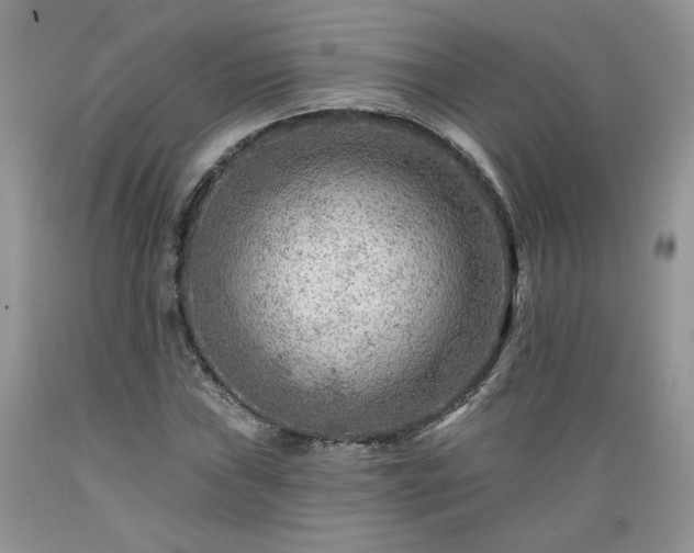 X0000089381019200706221249