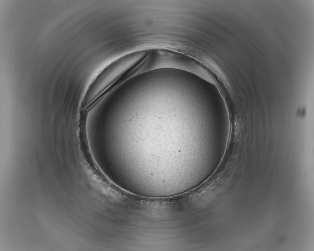 X0000089381020200706221249