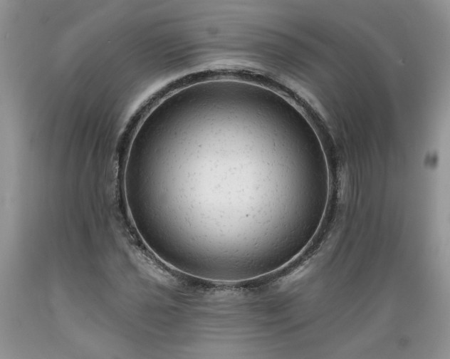 X0000089381021200706221249