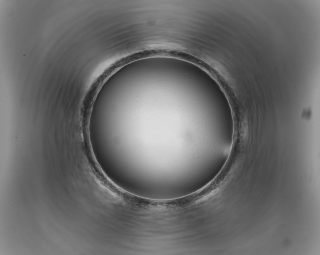 X0000089381022200706221249