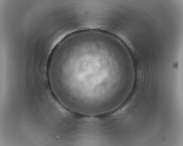 X0000089381023200706221249
