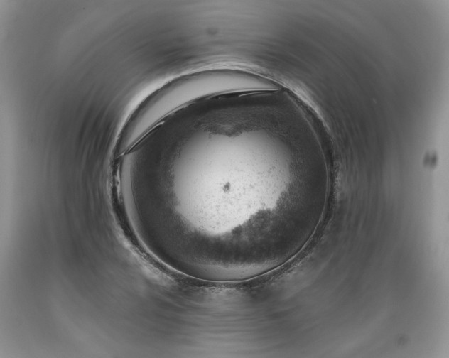 X0000089381024200706221249