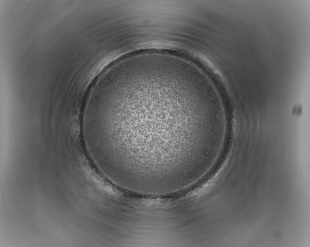 X0000089381025200706221249